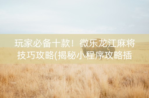 玩家必备十款！微乐龙江麻将技巧攻略(揭秘小程序攻略插件)