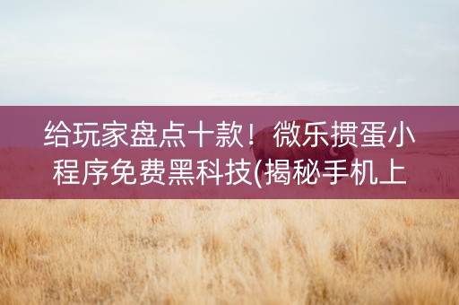 给玩家盘点十款！微乐掼蛋小程序免费黑科技(揭秘手机上攻略插件)