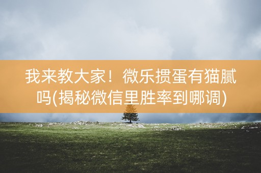 我来教大家！微乐掼蛋有猫腻吗(揭秘微信里胜率到哪调)