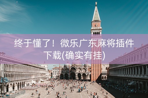 终于懂了！微乐广东麻将插件下载(确实有挂)