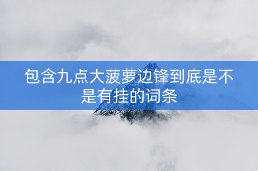包含九点大菠萝边锋到底是不是有挂的词条