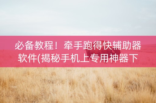 必备教程！牵手跑得快辅助器软件(揭秘手机上专用神器下载)