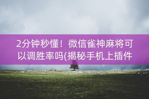 2分钟秒懂！微信雀神麻将可以调胜率吗(揭秘手机上插件下载)