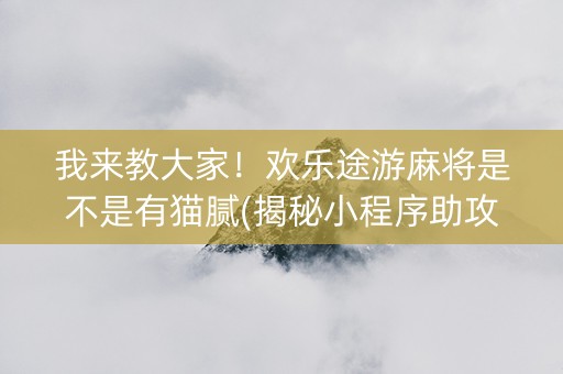 我来教大家！欢乐途游麻将是不是有猫腻(揭秘小程序助攻神器)