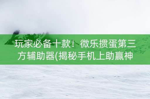 玩家必备十款！微乐掼蛋第三方辅助器(揭秘手机上助赢神器)