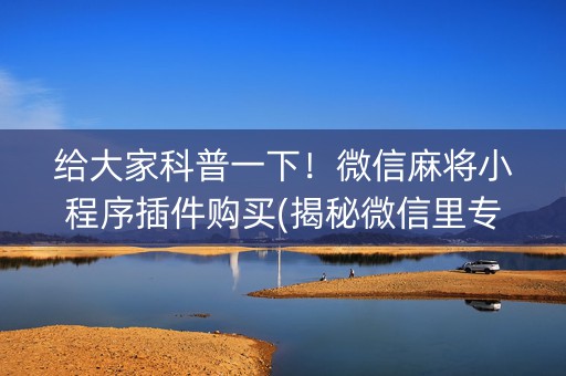 给大家科普一下！微信麻将小程序插件购买(揭秘微信里专用神器)