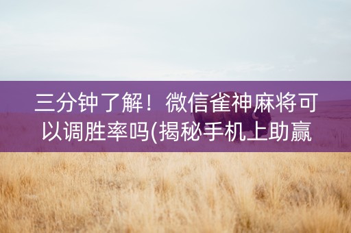 三分钟了解！微信雀神麻将可以调胜率吗(揭秘手机上助赢软件)