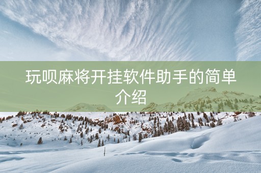 玩呗麻将开挂软件助手的简单介绍