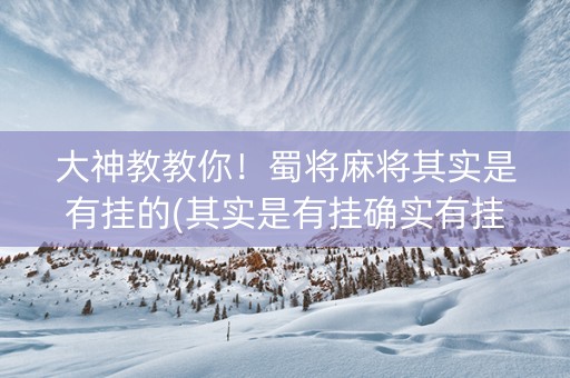 大神教教你！蜀将麻将其实是有挂的(其实是有挂确实有挂)