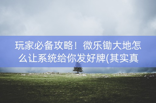 玩家必备攻略！微乐锄大地怎么让系统给你发好牌(其实真的确实有挂)