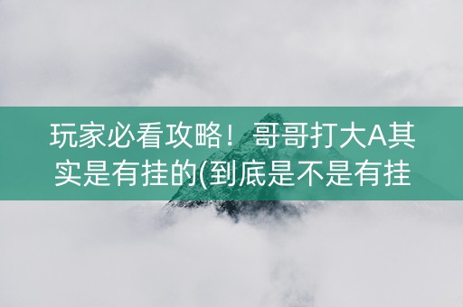 玩家必看攻略！哥哥打大A其实是有挂的(到底是不是有挂)
