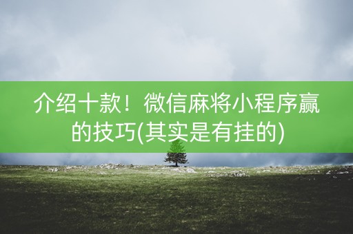 介绍十款！微信麻将小程序赢的技巧(其实是有挂的)