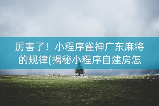厉害了！小程序雀神广东麻将的规律(揭秘小程序自建房怎么赢)