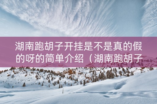 湖南跑胡子开挂是不是真的假的呀的简单介绍（湖南跑胡子玩法和规则）