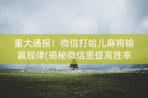 重大通报！微信打哈儿麻将输赢规律(揭秘微信里提高胜率)