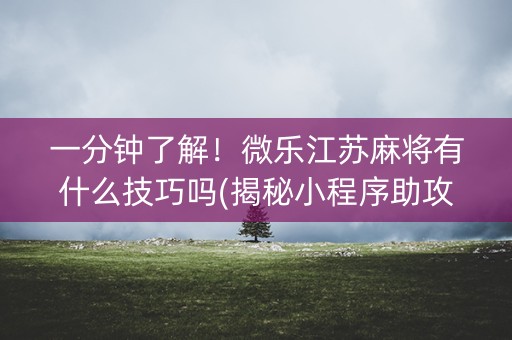 一分钟了解！微乐江苏麻将有什么技巧吗(揭秘小程序助攻神器)