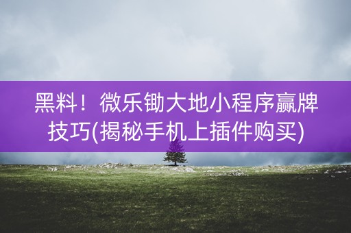 黑料！微乐锄大地小程序赢牌技巧(揭秘手机上插件购买)