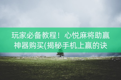 玩家必备教程！心悦麻将助赢神器购买(揭秘手机上赢的诀窍)