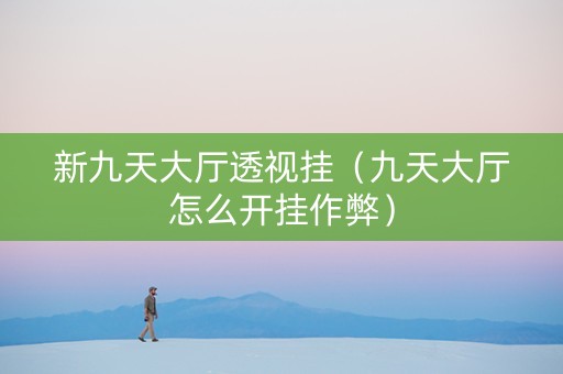 新九天大厅透视挂（九天大厅怎么开挂作弊）