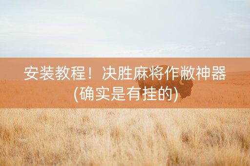 安装教程！决胜麻将作敝神器(确实是有挂的)