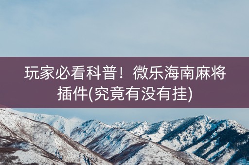 玩家必看科普！微乐海南麻将插件(究竟有没有挂)