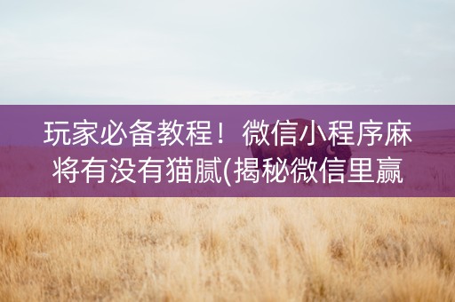 玩家必备教程！微信小程序麻将有没有猫腻(揭秘微信里赢牌的技巧)