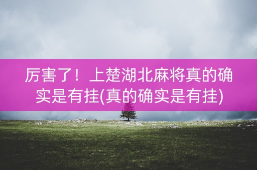 厉害了！上楚湖北麻将真的确实是有挂(真的确实是有挂)