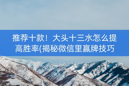 推荐十款！大头十三水怎么提高胜率(揭秘微信里赢牌技巧)