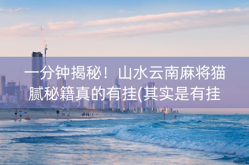 一分钟揭秘！山水云南麻将猫腻秘籍真的有挂(其实是有挂确实有挂)