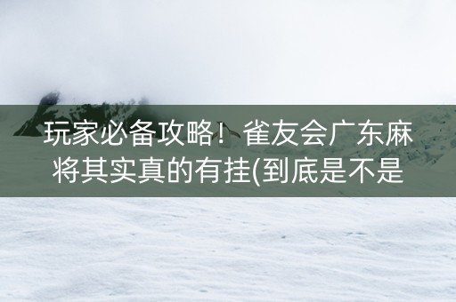 玩家必备攻略！雀友会广东麻将其实真的有挂(到底是不是有挂)