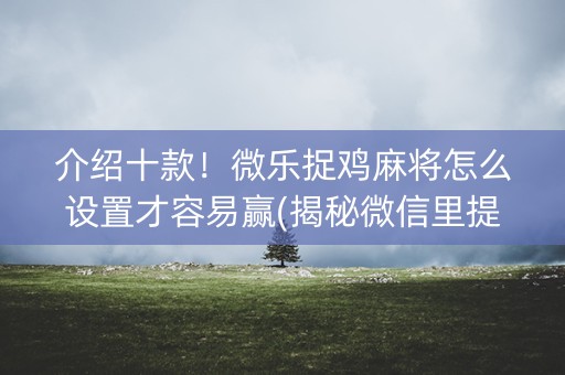 介绍十款！微乐捉鸡麻将怎么设置才容易赢(揭秘微信里提高赢的概率)