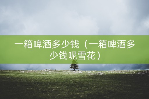一箱啤酒多少钱（一箱啤酒多少钱呢雪花）