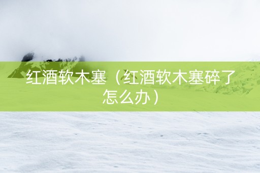红酒软木塞（红酒软木塞碎了怎么办）