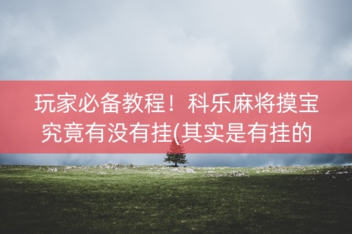 玩家必备教程！科乐麻将摸宝究竟有没有挂(其实是有挂的)