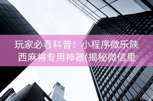 玩家必看科普！小程序微乐陕西麻将专用神器(揭秘微信里输赢技巧)
