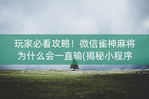 玩家必看攻略！微信雀神麻将为什么会一直输(揭秘小程序必备神器)