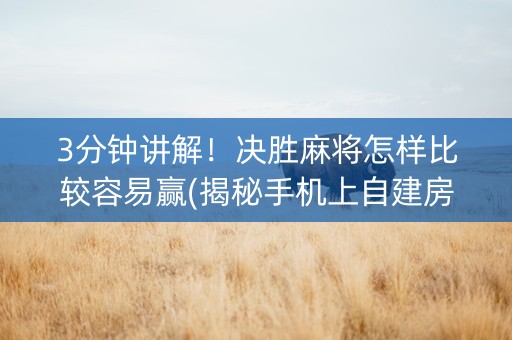 3分钟讲解！决胜麻将怎样比较容易赢(揭秘手机上自建房怎么赢)