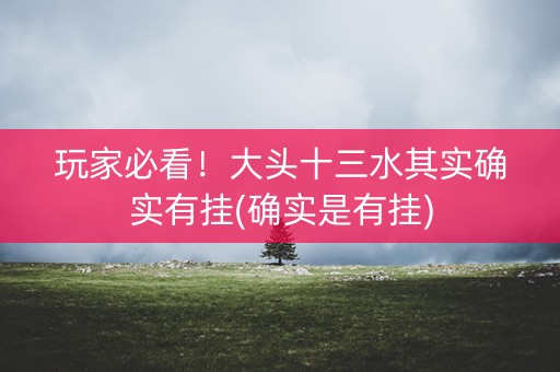 玩家必看！大头十三水其实确实有挂(确实是有挂)