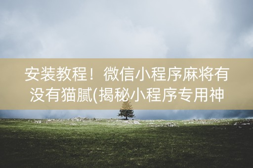 安装教程！微信小程序麻将有没有猫腻(揭秘小程序专用神器下载)