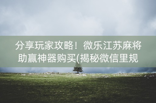 分享玩家攻略！微乐江苏麻将助赢神器购买(揭秘微信里规律攻略)
