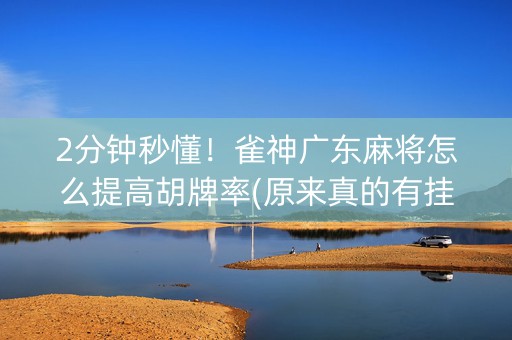 2分钟秒懂！雀神广东麻将怎么提高胡牌率(原来真的有挂)