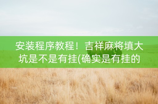 安装程序教程！吉祥麻将填大坑是不是有挂(确实是有挂的)