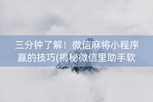 三分钟了解！微信麻将小程序赢的技巧(揭秘微信里助手软件)