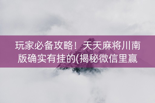 玩家必备攻略！天天麻将川南版确实有挂的(揭秘微信里赢的诀窍)