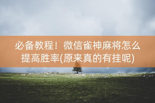 必备教程！微信雀神麻将怎么提高胜率(原来真的有挂呢)
