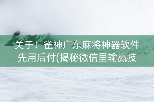 关于！雀神广东麻将神器软件先用后付(揭秘微信里输赢技巧)