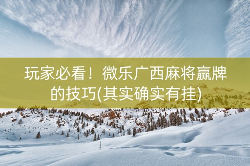 玩家必看！微乐广西麻将赢牌的技巧(其实确实有挂)