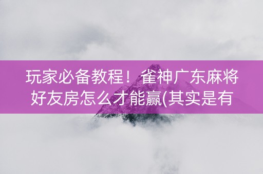 玩家必备教程！雀神广东麻将好友房怎么才能赢(其实是有挂确实有挂)