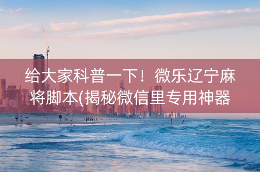 给大家科普一下！微乐辽宁麻将脚本(揭秘微信里专用神器)