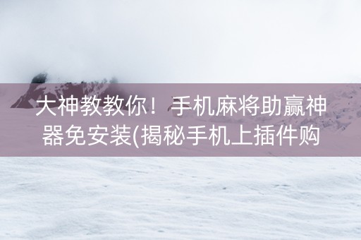 大神教教你！手机麻将助赢神器免安装(揭秘手机上插件购买)
